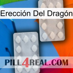 Erección Del Dragón 17